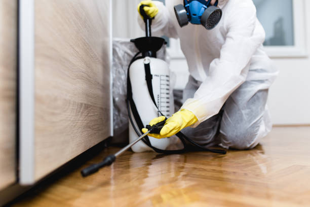 Best Residential Pest Control  in Springdale, SC