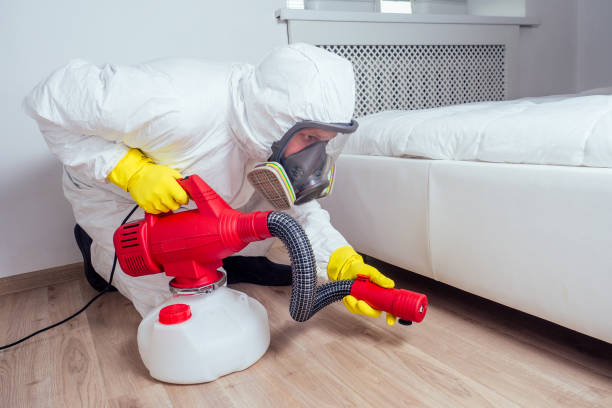 Best Pest Prevention Services  in Springdale, SC